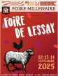 Voir la galerie