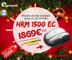 Voir la galerie (4 photos)